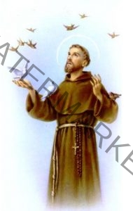 Saint Francis of Assisi