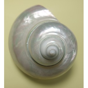 The Spiral of Release