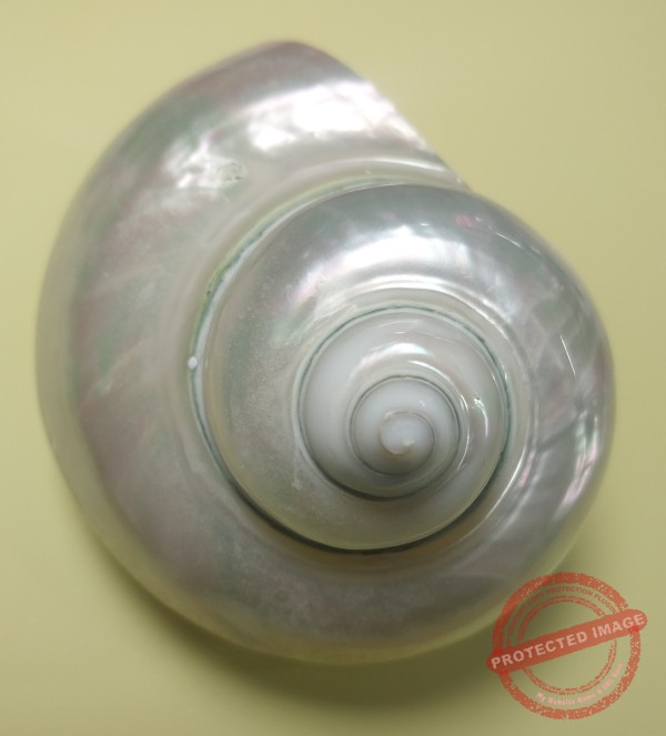 The Spiral of Release